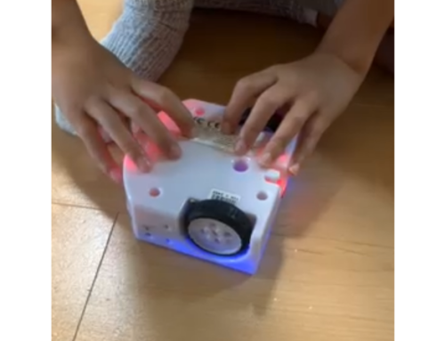 wild music machine