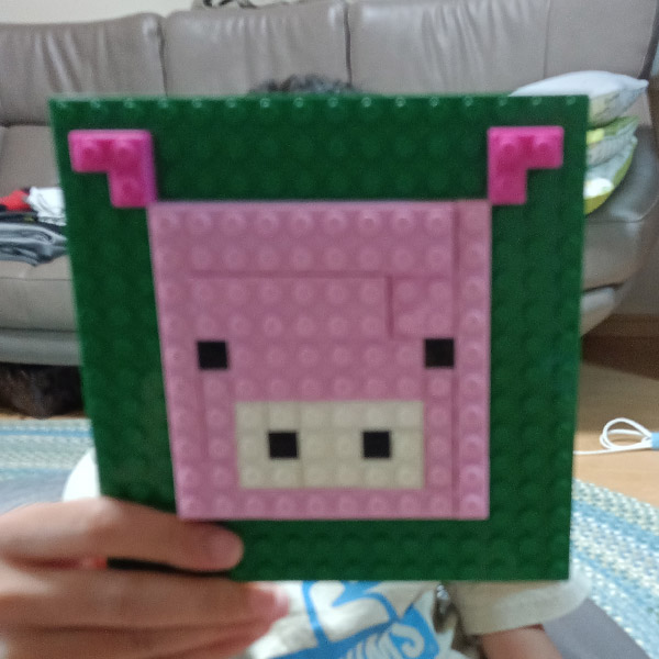 hals pixel pig